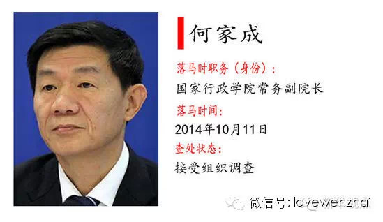 何家成