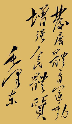 体育