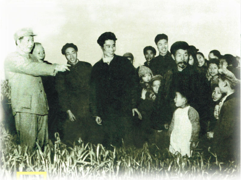 maopeasants