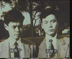 邓杨