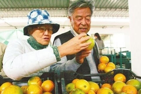 zhushijian