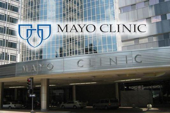 mayo
