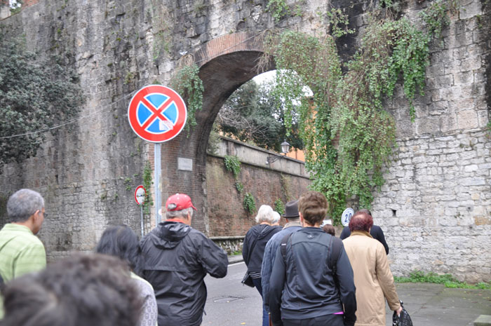 Pisa15