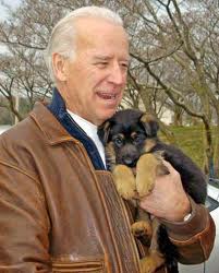joe